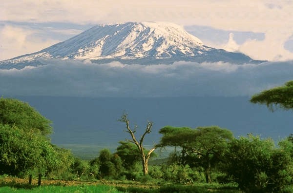 kilimandjaro kilimandjaro