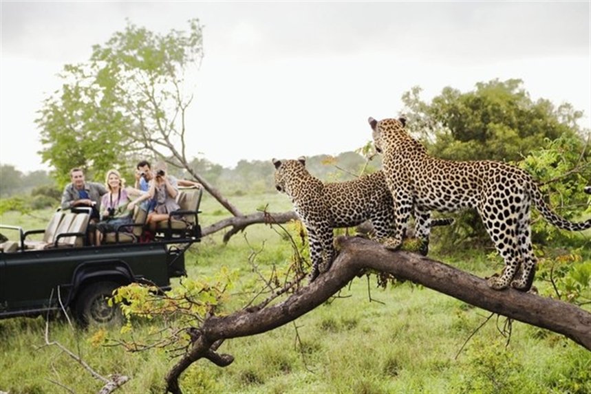Afrika Afrika