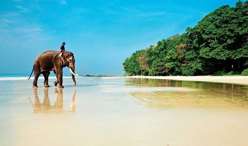 Гоа в январе