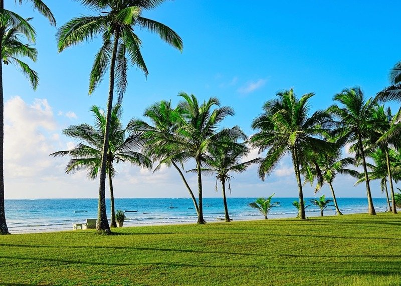 Кения в январе