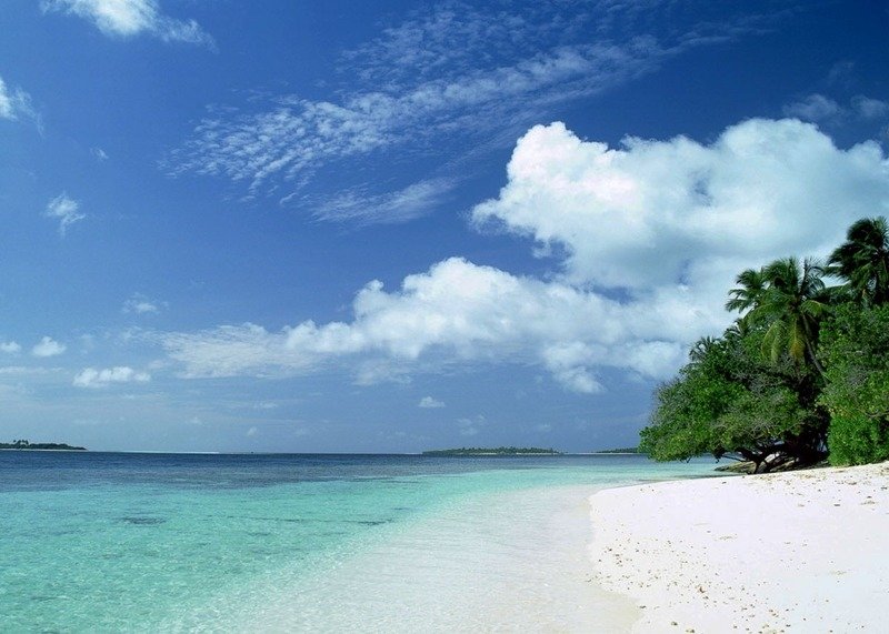 Кения в январе