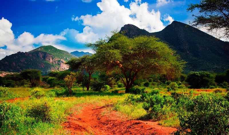 Кения в январе