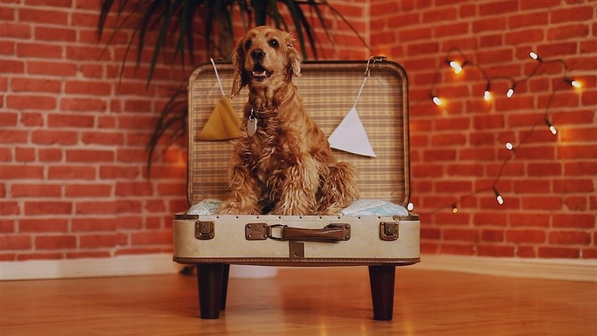 Чемодан-лежанка Чемодан-лежанка