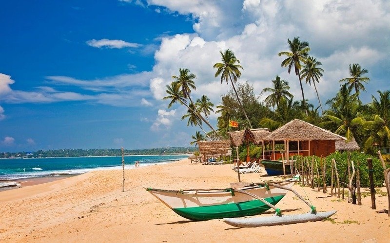 Шри-Ланка в январе