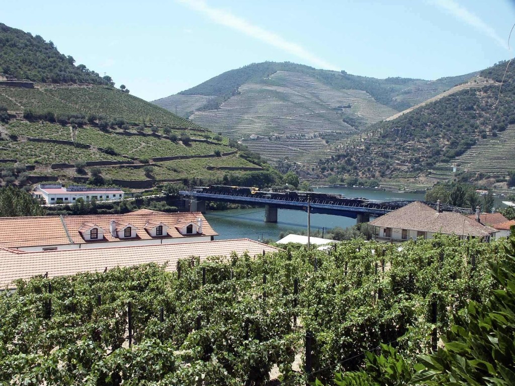 «Доуру Лайн»