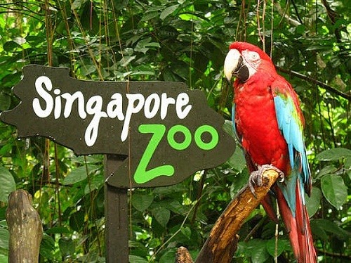 Сингапурский зоопарк
