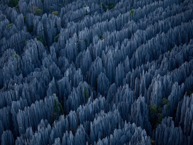Каменный лес в Мадагаскаре Каменный лес в Мадагаскаре