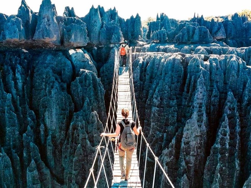 Каменный лес в Мадагаскаре Каменный лес в Мадагаскаре