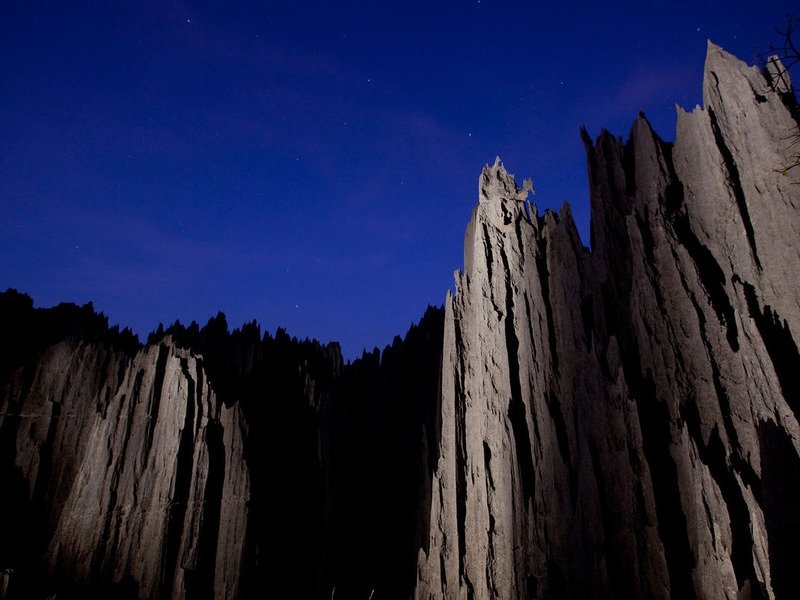 Каменный лес в Мадагаскаре Каменный лес в Мадагаскаре