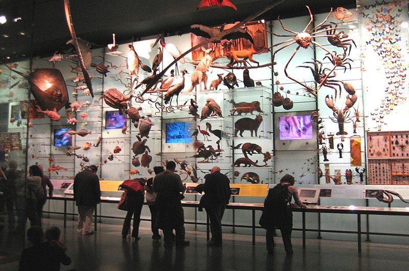 Нью-Йорк в фильмах