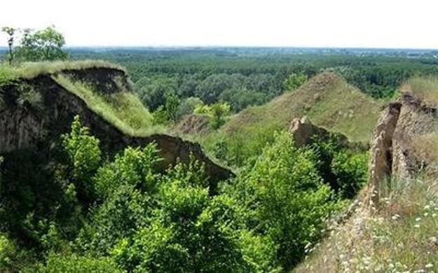 Пирятинский парк Пирятинский парк