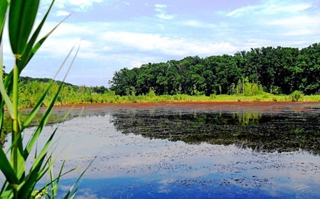 Черное озеро