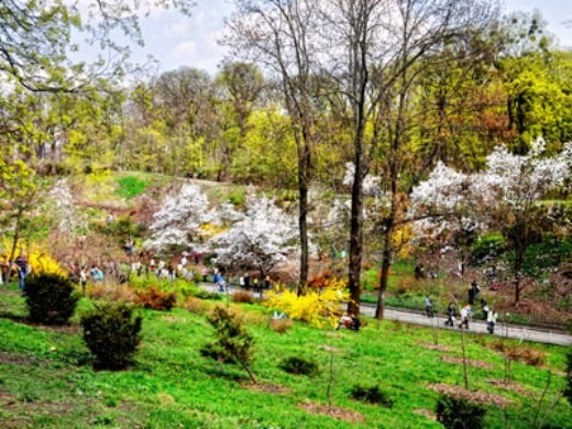 ботанический сад ботанический сад