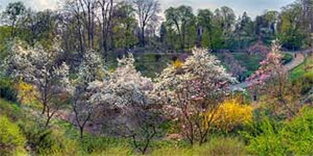 ботанический сад Фомина ботанический сад Фомина