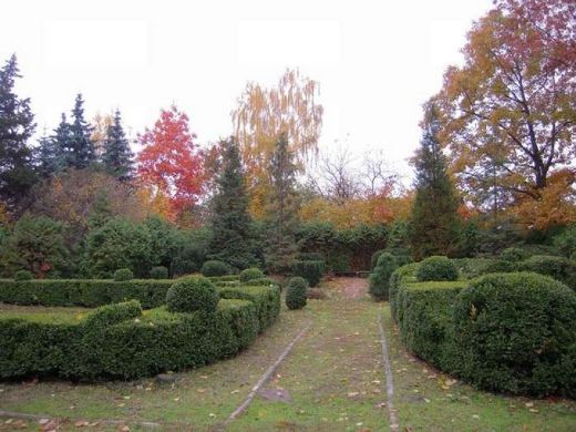 Сырецкий дендропарк Сырецкий дендропарк