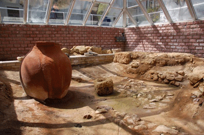 Керкинитида фрагмент экспозиции