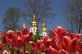 Куда поехать в Украине весной-2013: самые интересные фестивали и события