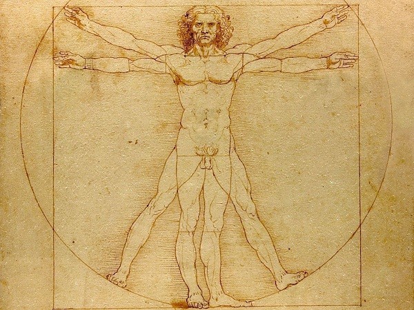 vitivian man vitivian man