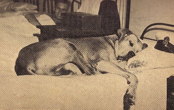 Полноправный член экипажа Полноправный член экипажа