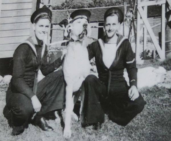 Собака-моряк Собака-моряк