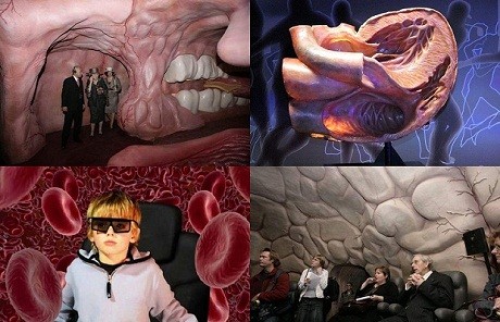 Музей человеческого тела