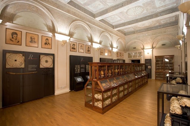 музей криминальной антропологии музей криминальной антропологии