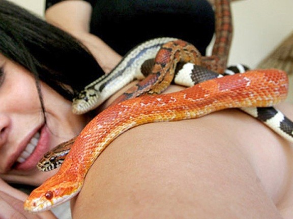 Массаж со змеями