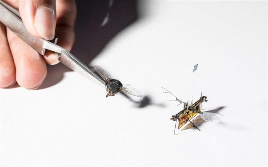 Робот-муха Робот-муха