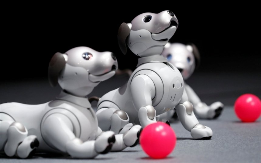 Роботизированный питомец Роботизированный питомец