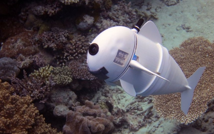 Вид на робота спереди