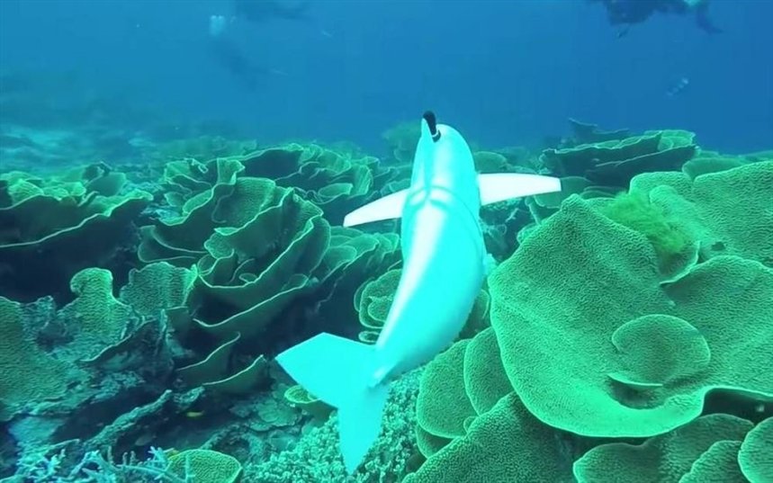 Роботизированная рыба