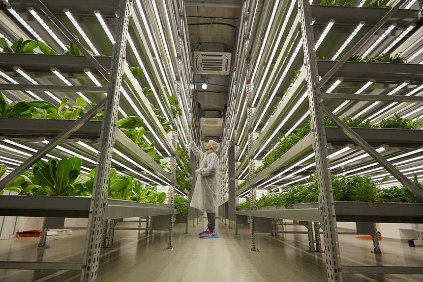 Вертикальная ферма