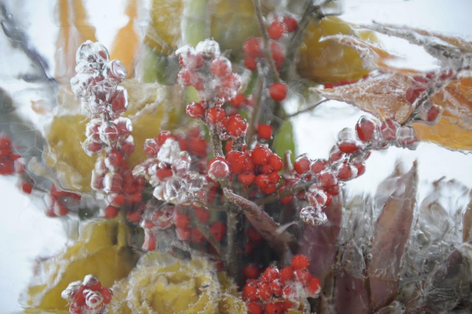 Лед на калине
