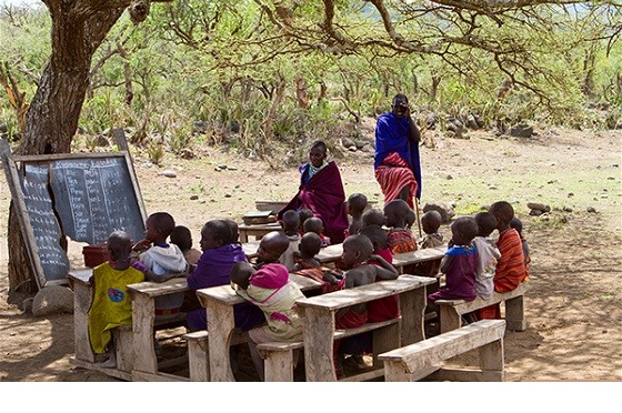 школа под деревом школа под деревом