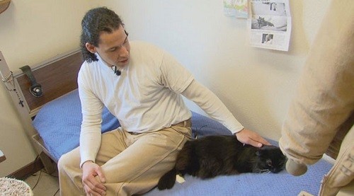 американские заключенные