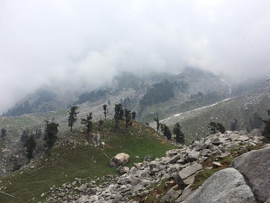 Индия Индия