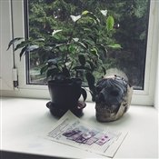 Самое интересное о работе патологоанатома