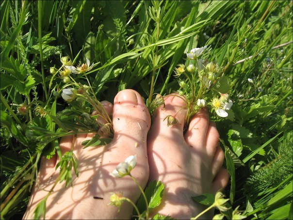 бегать по росе