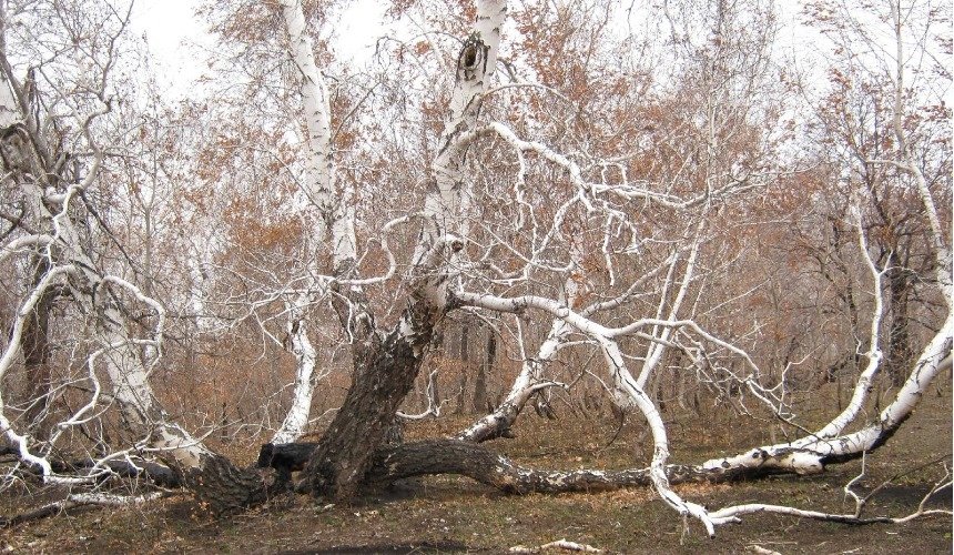 Аномальные места, в которых людям становится плохо