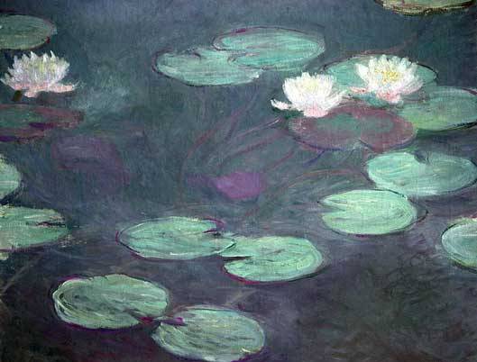 Водяные лилии