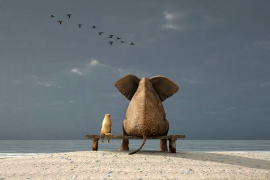 спешите жить спешите жить