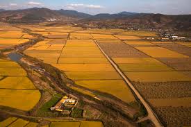 сельское хозяйство