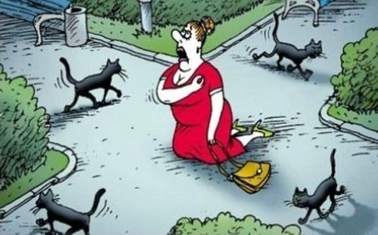 женщина с кошками