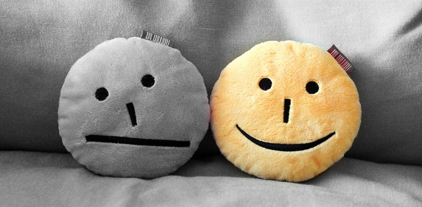 Оптимизм и пессимизм Оптимизм и пессимизм