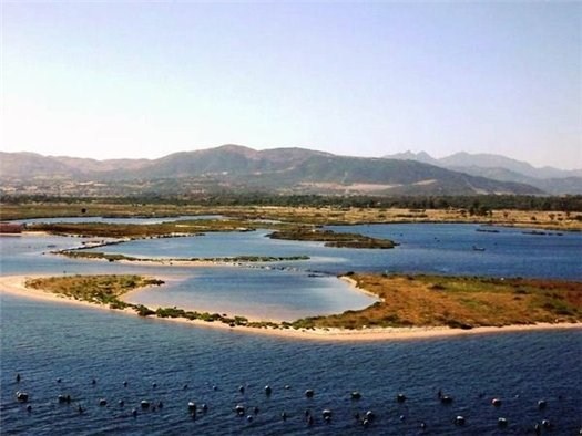 Остров Скорпионов Остров Скорпионов