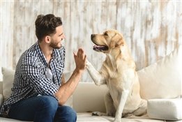 30 собачек точь-в-точь похожих на своих хозяев