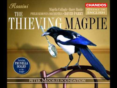 Сорока-воровка Сорока-воровка