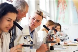 Урок, который ты проспал