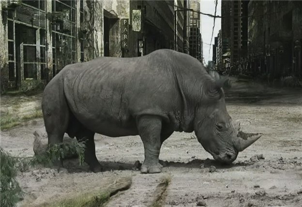 новые хозяева земли