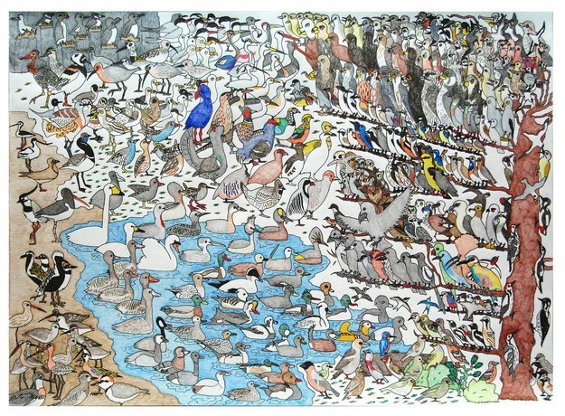 Дэвид Барт_1 Дэвид Барт_1